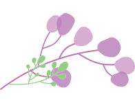 purple-flower-divider